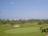 771950_golf_course.jpg