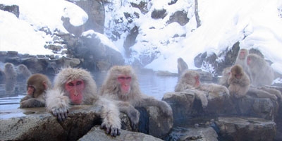 Jigokudani_hotspring_in_Nagano_Japan_001.JPG
