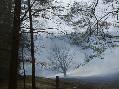 smoky-mountains.jpg