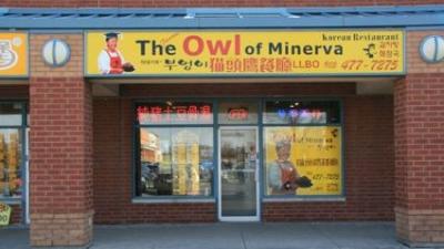 The Owl of Minerva-A.jpg