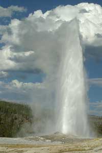 yellowstone.jpg